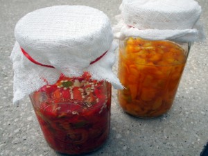 Fermenting Peppers for Hot Sauce